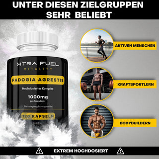 Fadogia Agrestis Kapseln fadogia XTRA FUEL