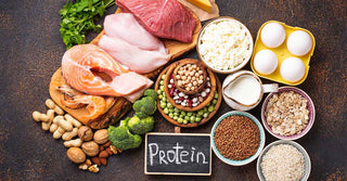 Proteinbedarf beim Muskelaufbau: Wie viel Eiweiß pro Tag ist optimal?