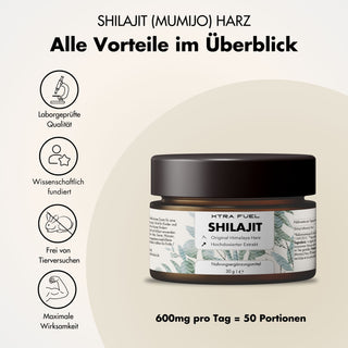 Resina Shilajit - Original Himalaya Mumijo - Probada en laboratorio y 100 % libre de metales pesados