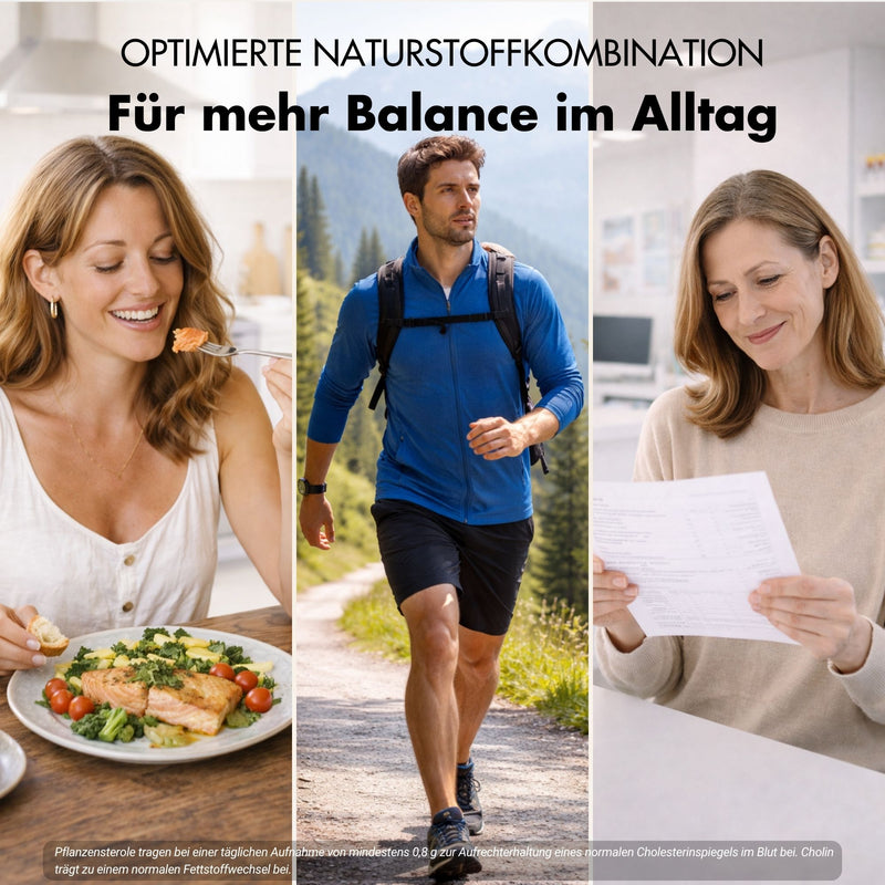 Complejo colesterol* - complejo nutritivo con esteroles vegetales, bergamota, alcachofa y monacolina K