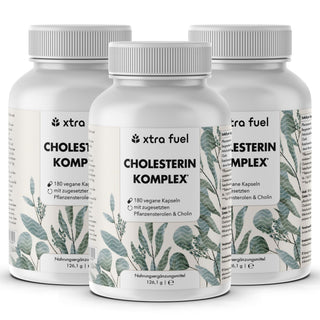 Complejo colesterol* - complejo nutritivo con esteroles vegetales, bergamota, alcachofa y monacolina K