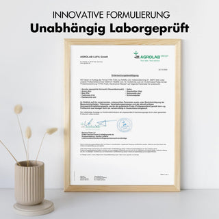 Nicotinamide Riboside - Longevidad NAD + precursor con niacina para la energía y vitalidad*.