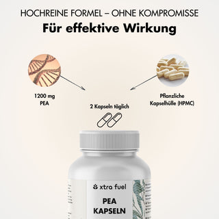 Cápsulas de PEA - Palmitoiletanolamida micronizada - 1200 mg al día