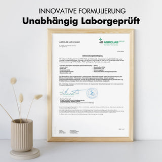 Cápsulas de PEA - Palmitoiletanolamida micronizada - 1200 mg al día