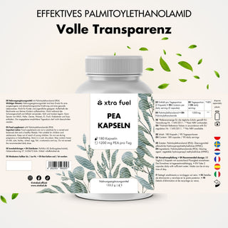 Cápsulas de PEA - Palmitoiletanolamida micronizada - 1200 mg al día