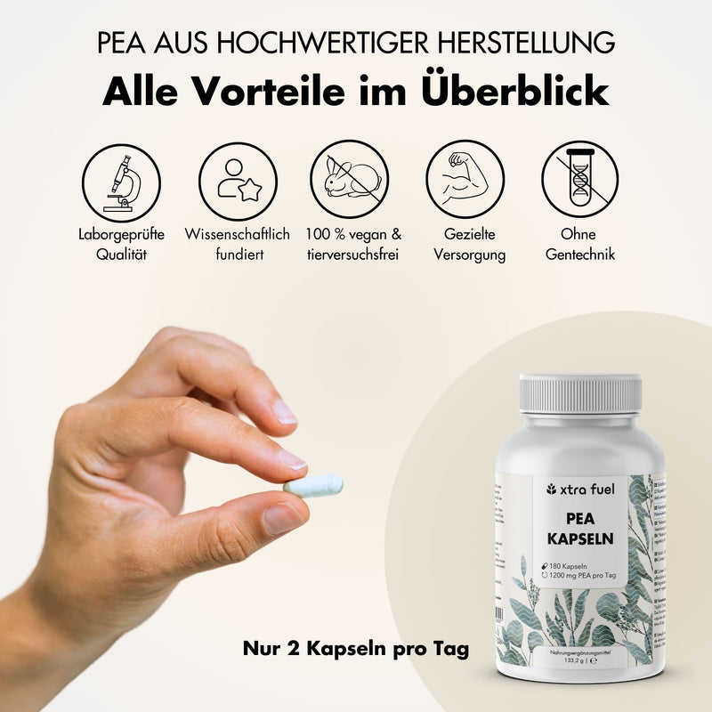 Cápsulas de PEA - Palmitoiletanolamida micronizada - 1200 mg al día