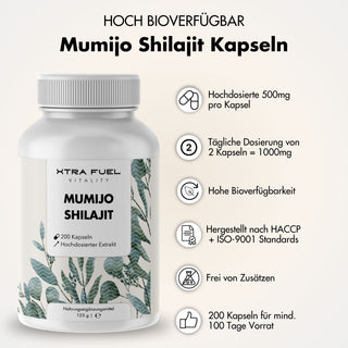 DE - 07.24_Shopify_Mumijo Shilajit Kapseln_Produktbilder Magnesium L-Threonate.jpg__PID:4169d71d-acdc-49da-ba2d-400476d306eb