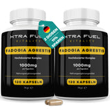 Fadogia Agrestis Kapseln fadogia XTRA FUEL 2x Dosen (240x Kapseln Fadogia)  